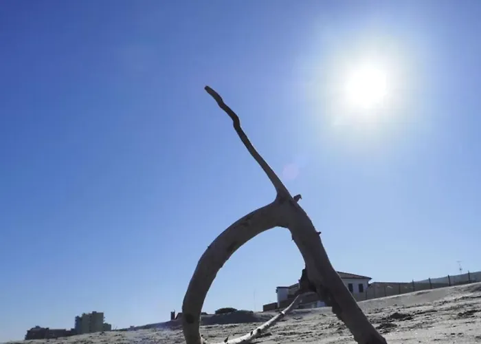 Delta Blu Village Lido di Pomposa