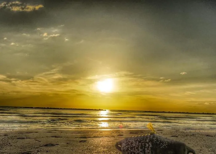 Vakantiehuis Delta Blu Village Lido di Pomposa